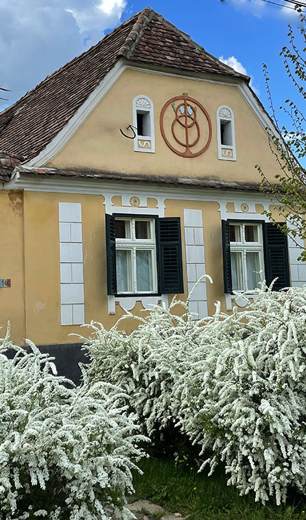 Yellow house - Transylvania Copsamare Guest house