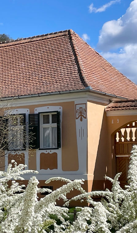 Ochra House transylvanian house for sale Copsamare